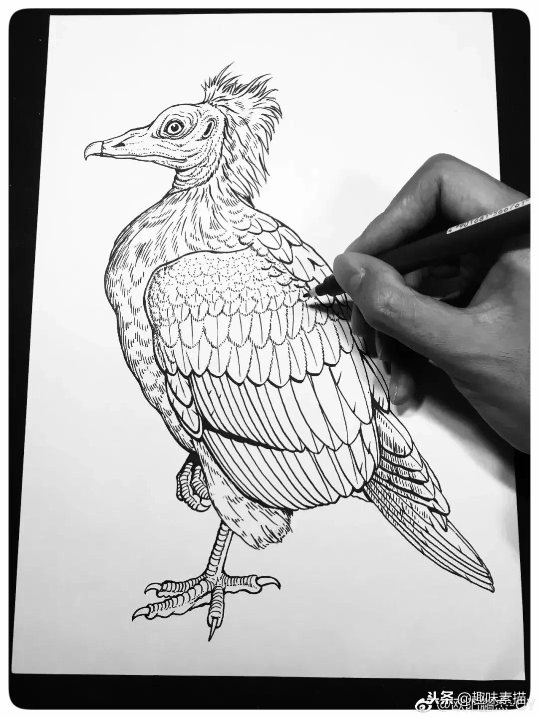 针管笔教程超适合初学者的笔,零基础针管笔教学