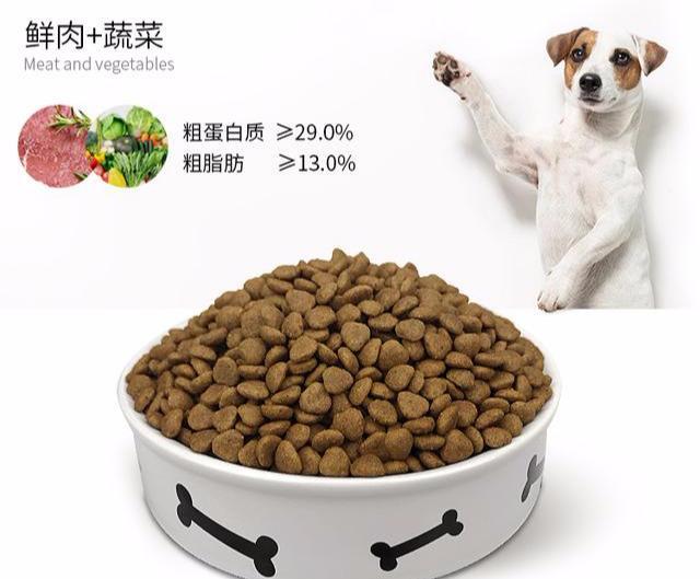 幼犬狗狗刚来胆小害怕怎么办,狗狗胆小怎么办见人就躲