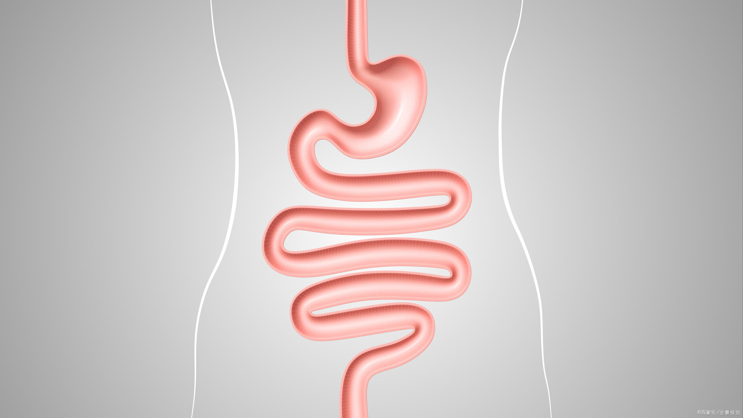 有助肠道消化的最佳锻炼方法,清理肠道助消化最好方法