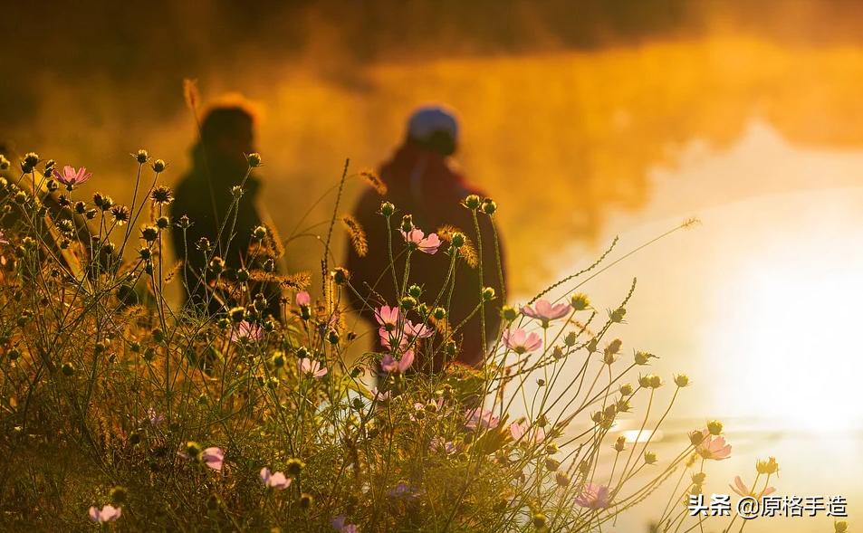 520情话最干净短句,520高情商的情话致自己