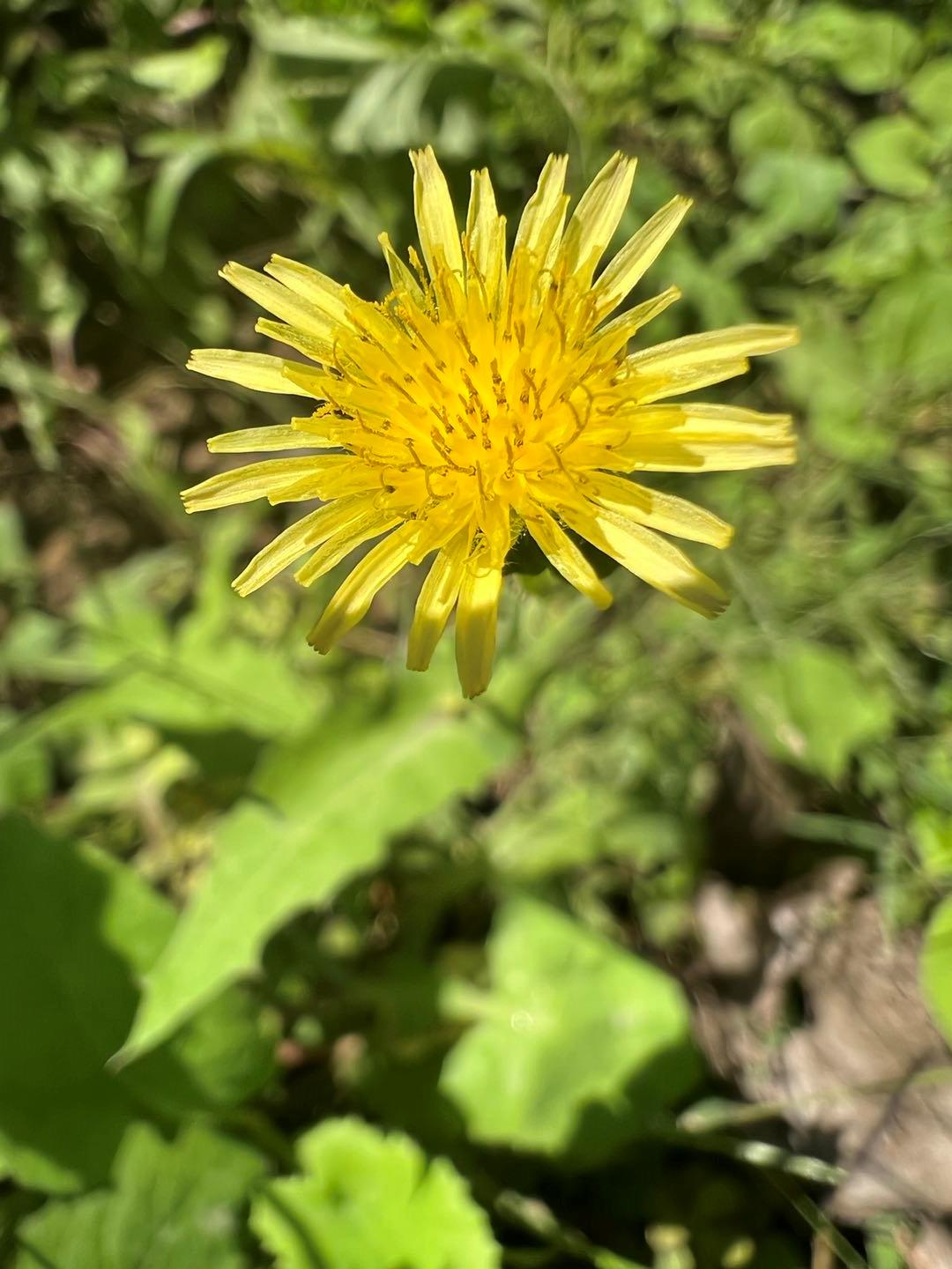 iphone13promax怎么抢购,iphone13promax抢不上