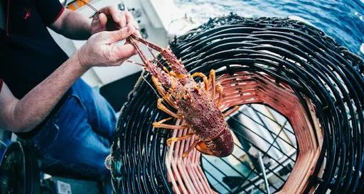 如果没有中国玩家会怎样,如果没有中国世界会是什么样