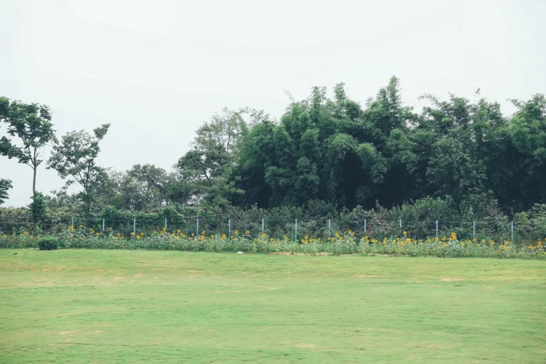 周末去哪里玩成都室内,周末去哪儿玩儿成都周围