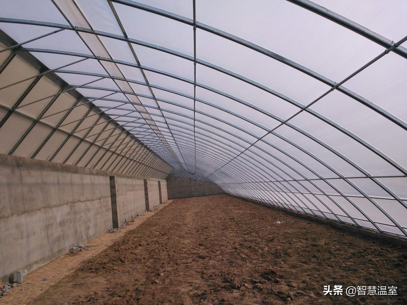 盘点温室大棚的优缺点，看看哪个类型适合你