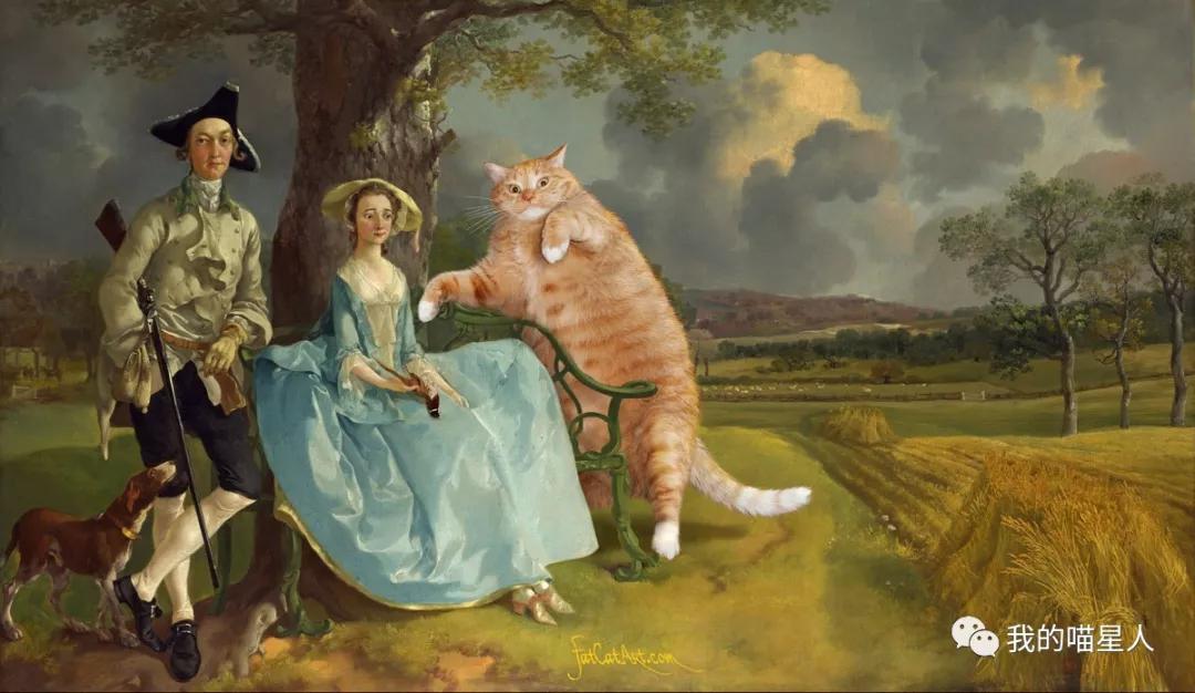 胖橘猫画作,一位画家把自己的猫画成卡通人物