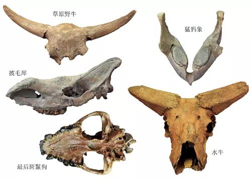 有图有真相有依据,有图有真相眼见为实