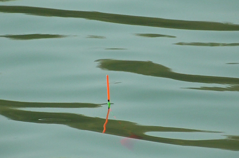 钓鲮鱼调漂最佳的方法,钓鲮鱼怎么调漂和找底