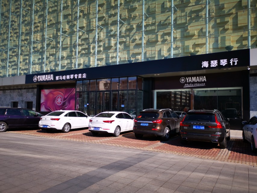 大庆乐器,大庆国际乐器店