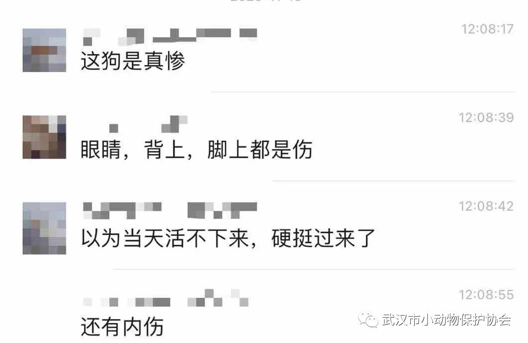 背部烫伤伤口发白是溃烂吗,眼睛被开水烫伤过容易得什么炎症