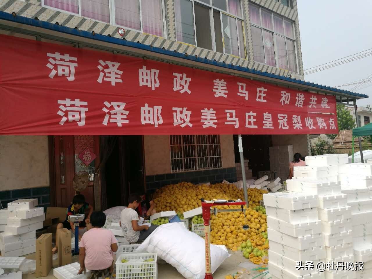 打造社会用邮服务行业“国家队”——菏泽邮政服务地方经济民生纪实