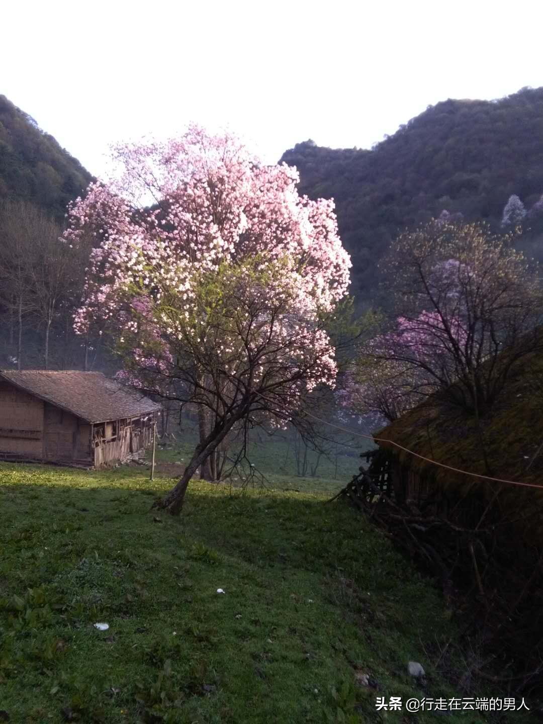 绵阳江油李白故里图片,绵阳藏王寨风景区
