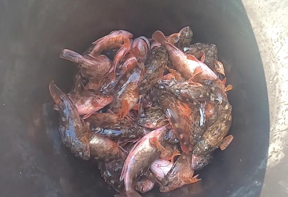 海钓赚钱吗一年可以赚多少钱,给初玩海钓新手的十点忠告