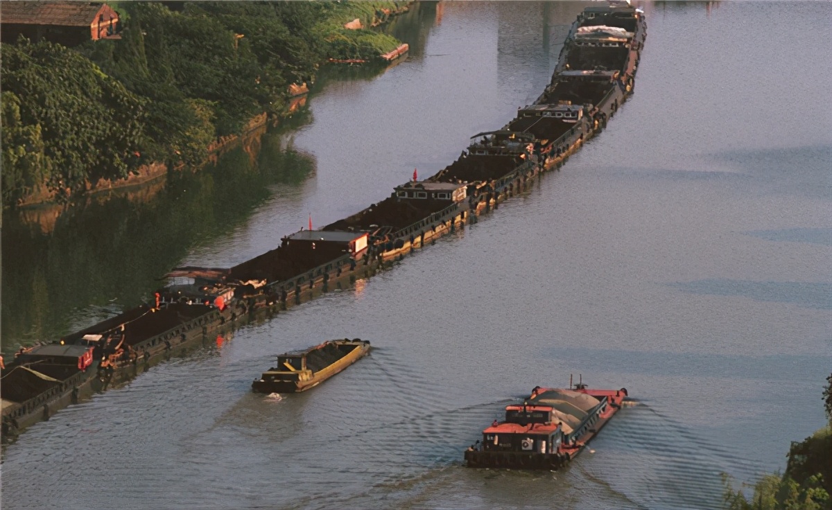 上世纪70年代打狗运动是怎么回事,上世纪打狗运动