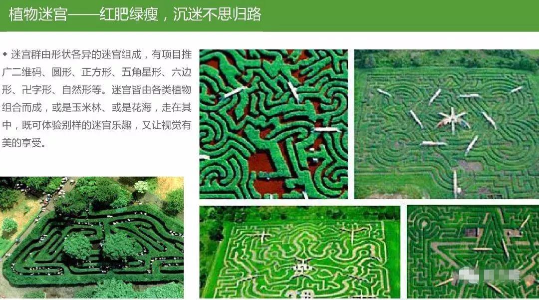 田园综合体类项目策划,田园综合体项目推介书ppt