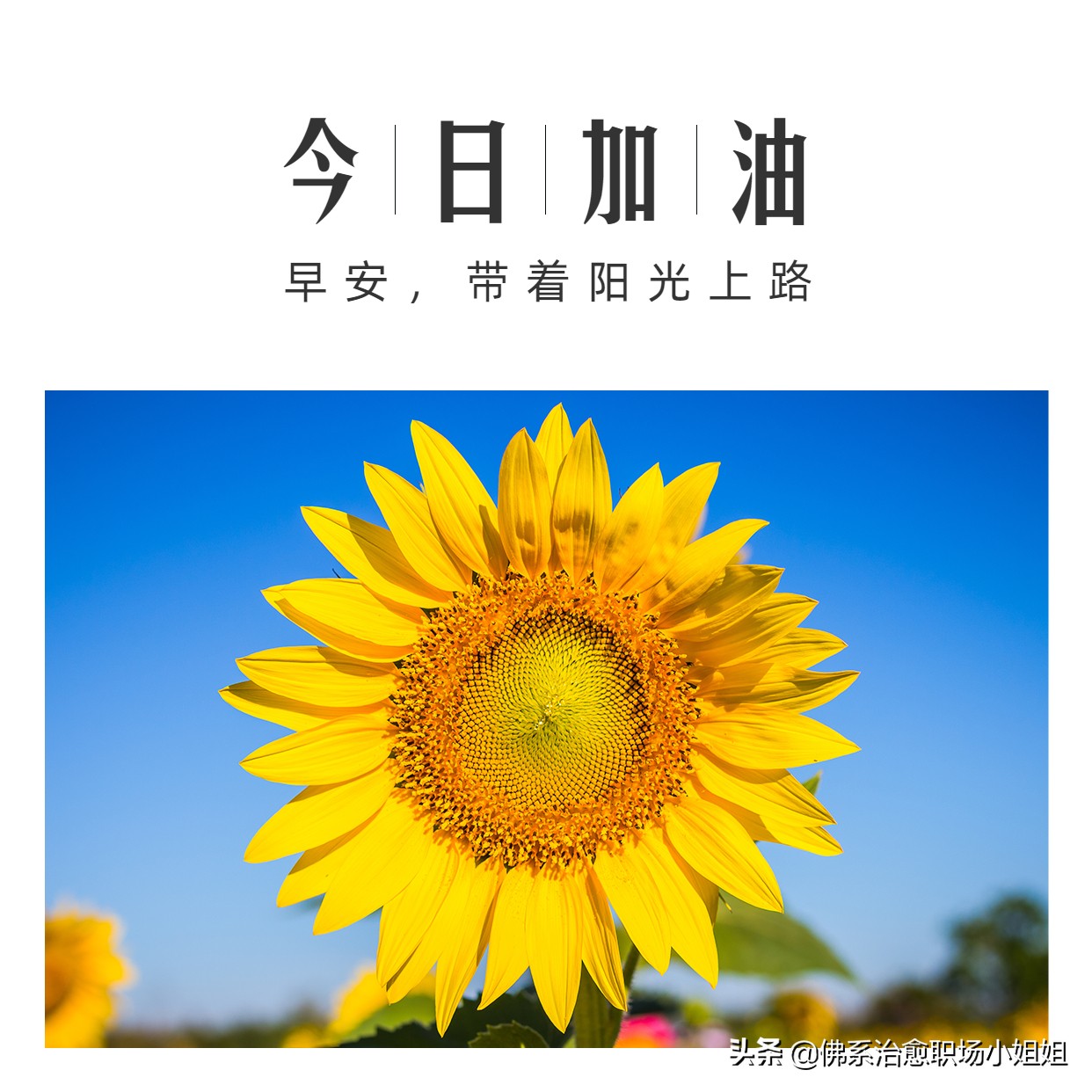 转变工作方法提高工作效率,创新工作方法提高工作效率