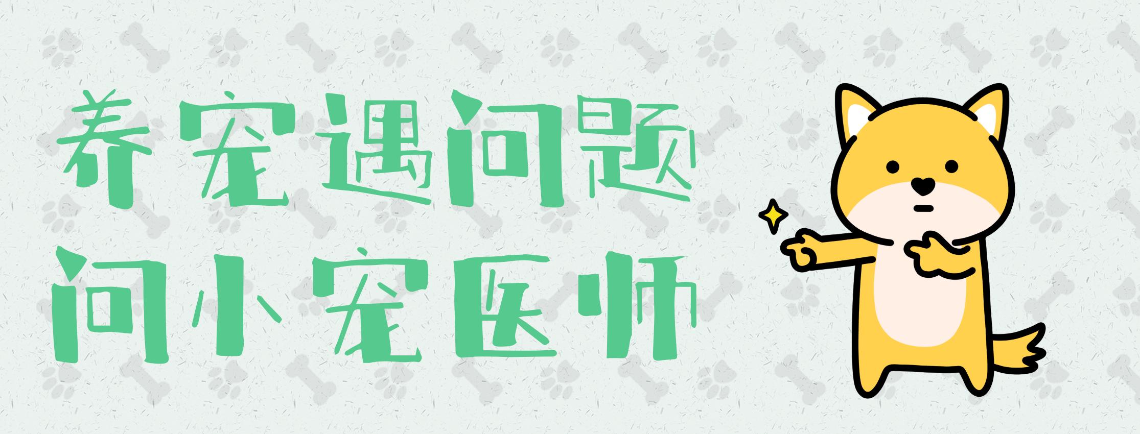 我家狗为啥老喜欢喝水,我家狗喜欢侧睡