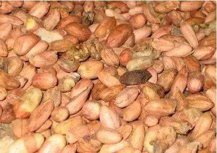 食物发霉后，没长霉的地方还能吃吗？医生直言：这几种食物放心吃