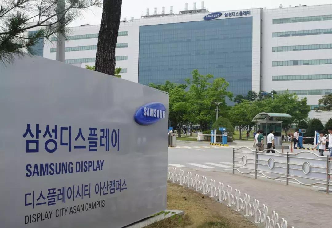 从捡垃圾到世界冠军电影视频,从捡垃圾开始到世界首富在线观看