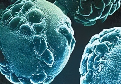 带状疱疹的发生发展过程和症状,带状疱疹是如何引起来的