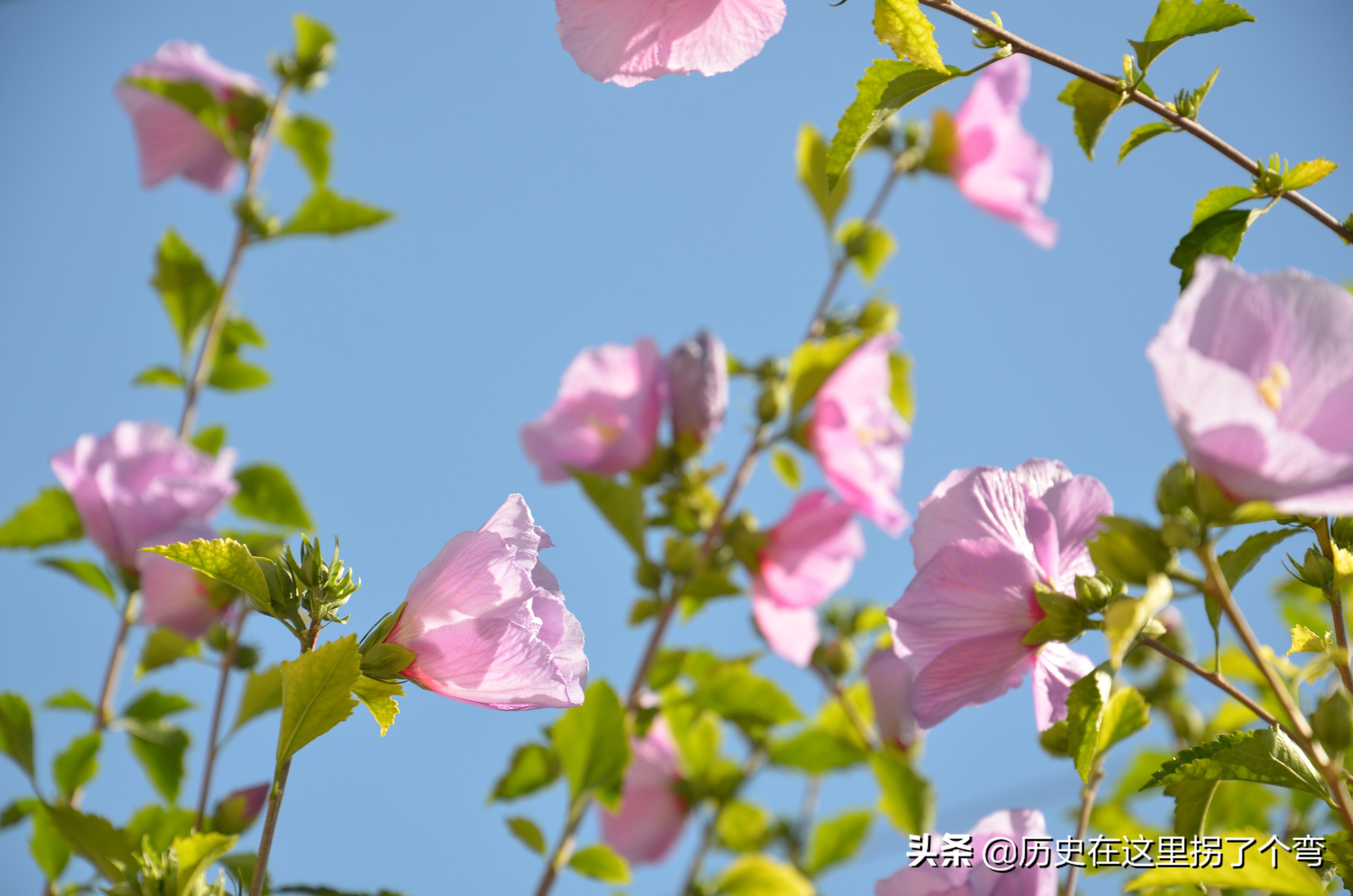 农耕文化一览表,农耕文明源头之十三