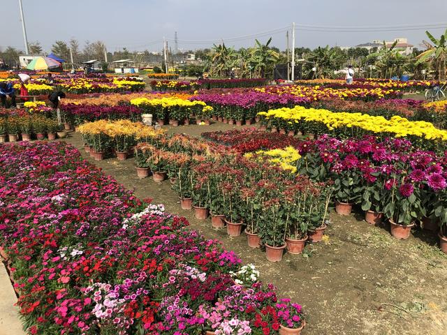 中山小榄镇有哪些旅游区,中山市可亿塑料