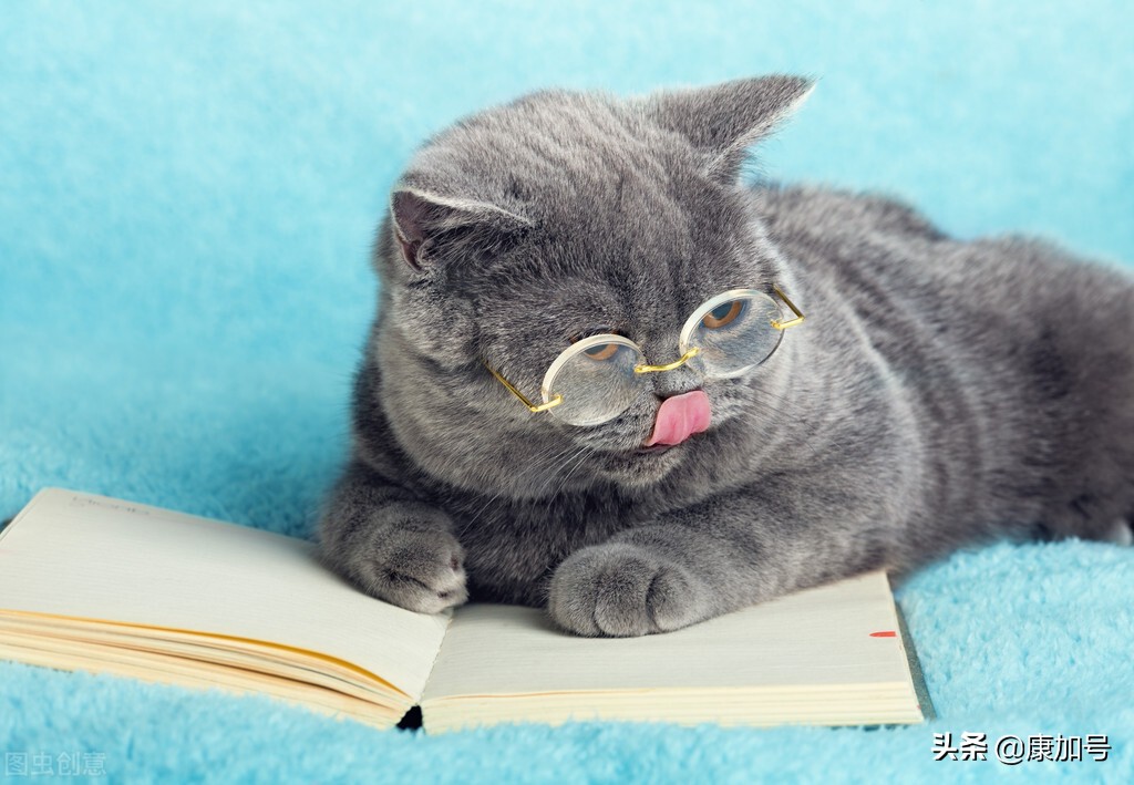 弱视无药可救,成人弱视问题及解决方法