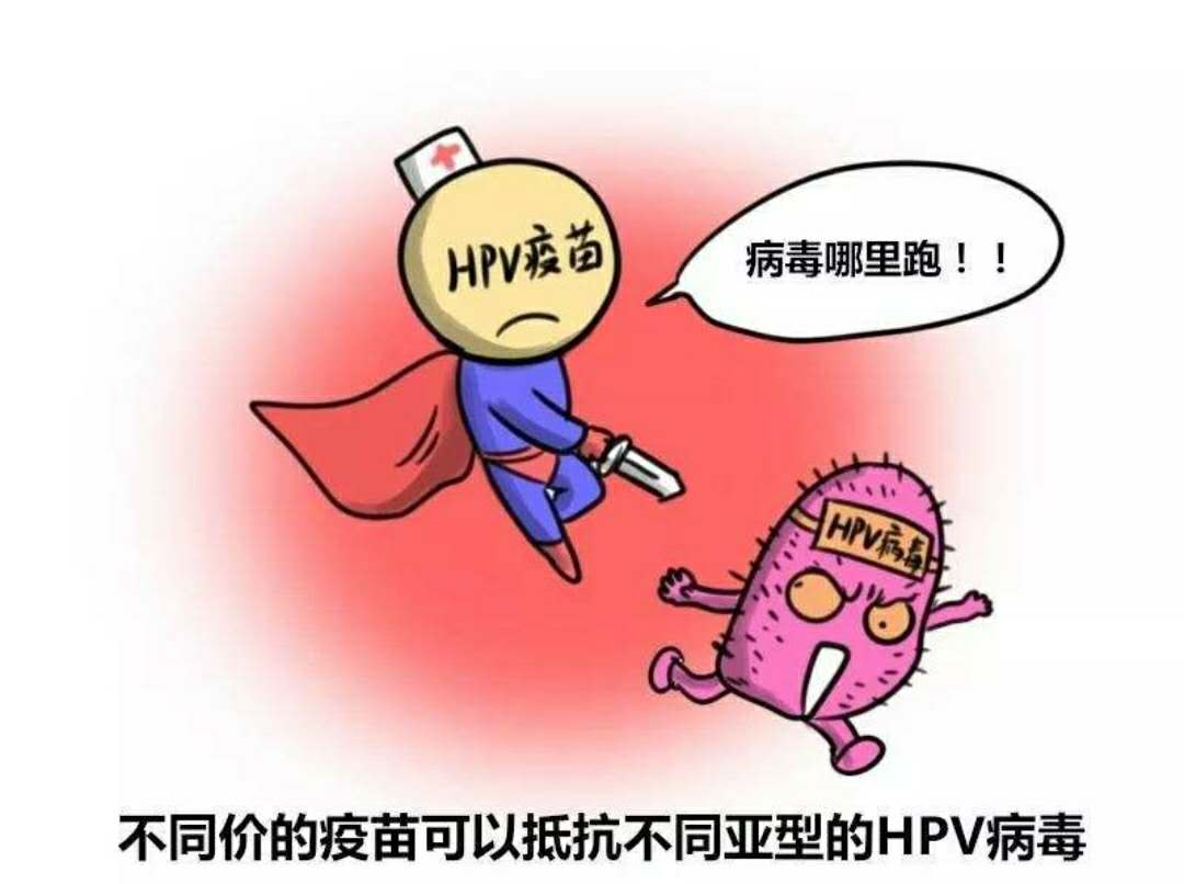 80%女性一生中可能感染hpv,hpv病毒从感染到发病时间