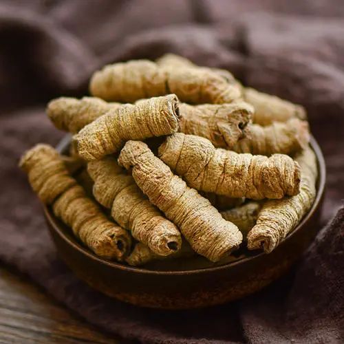 肠道疾病中医辨证法视频,肠道内有瘤子用中医可治愈吗