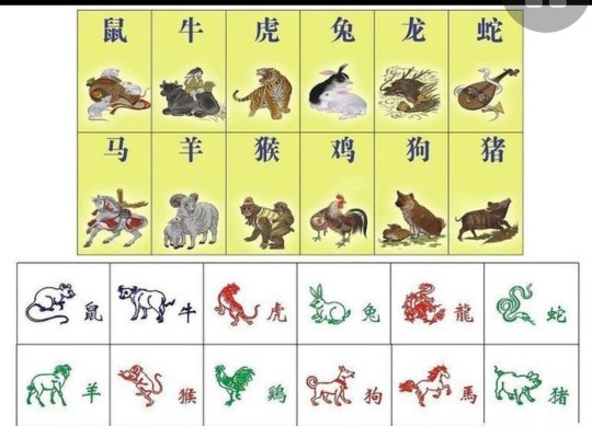 属相加星座的超准分析,各个星座的属相配对表