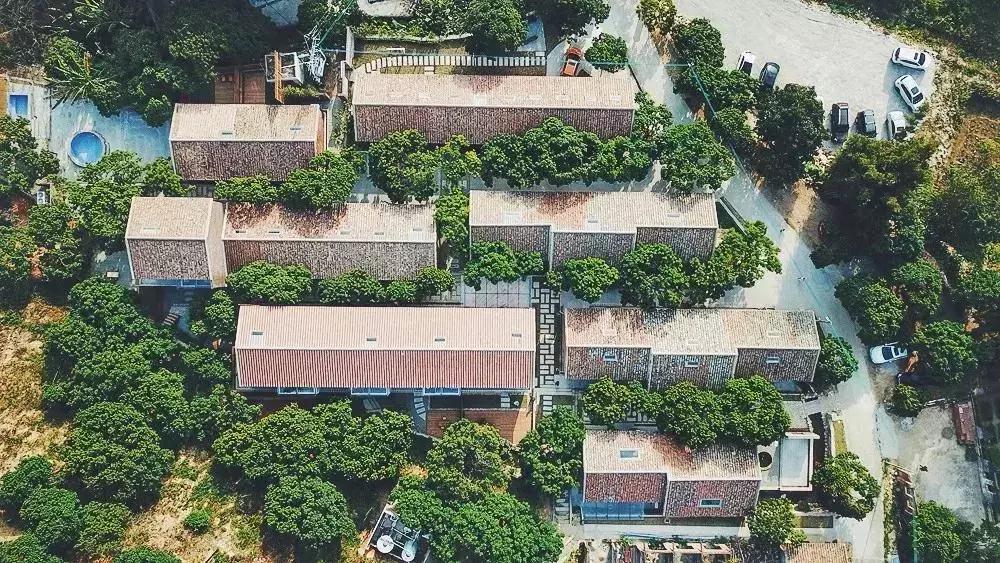 放弃世界顶尖银行工作,他回村当木匠,在废墟上盖出了爆美小院!