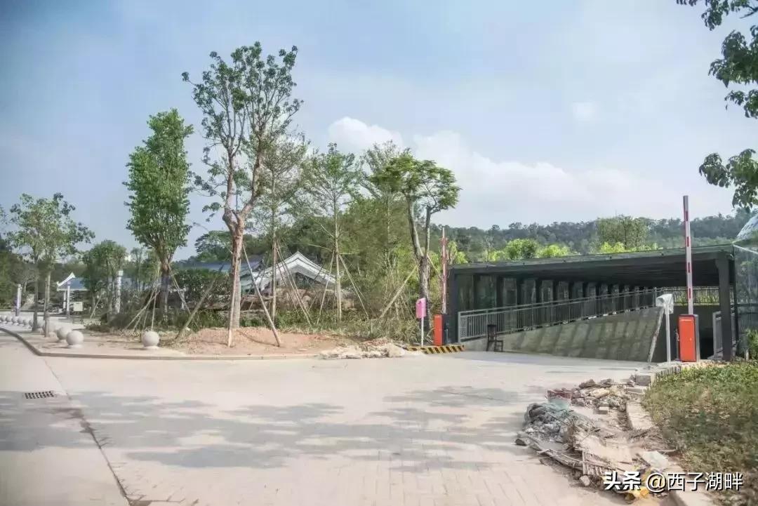 惠州大亚湾停车攻略,惠州西湖周末在哪里停车比较好