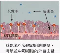 明星童颜秘诀，每1秒卖出10瓶的TA，素人高呼有效淡纹、去暗沉！