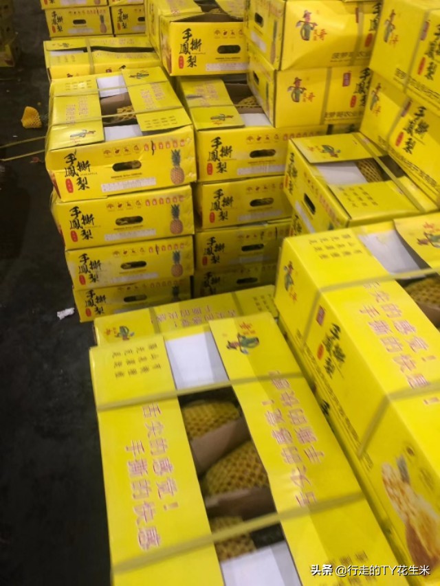 南京众彩瓜果价格 (南京江宁众彩水果批发市场价格表)