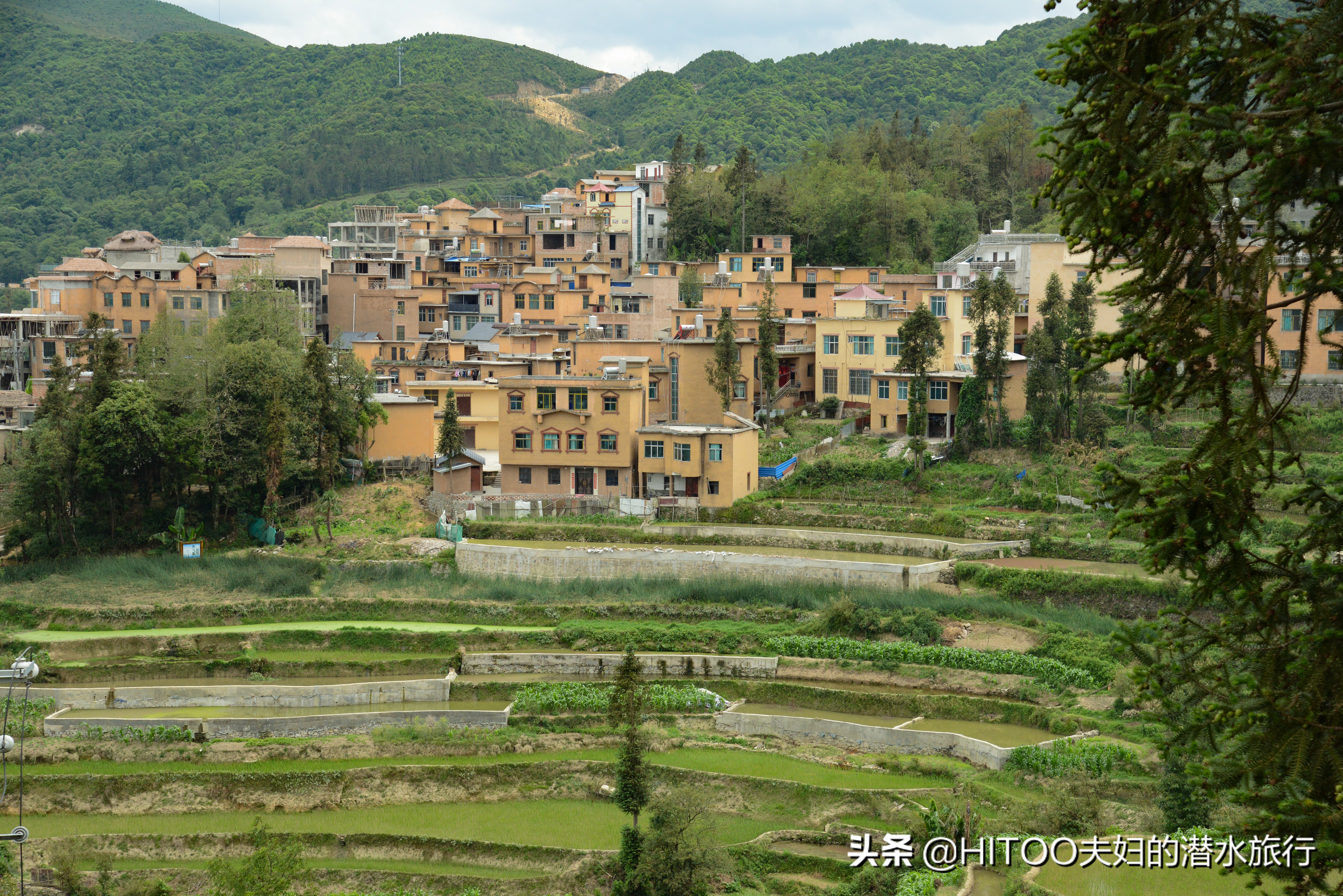 元阳梯田自驾游路线攻略,不花钱看元阳梯田自驾攻略
