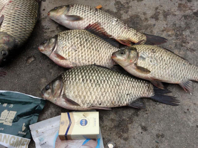 野钓还是传统钓好,野钓选择位置