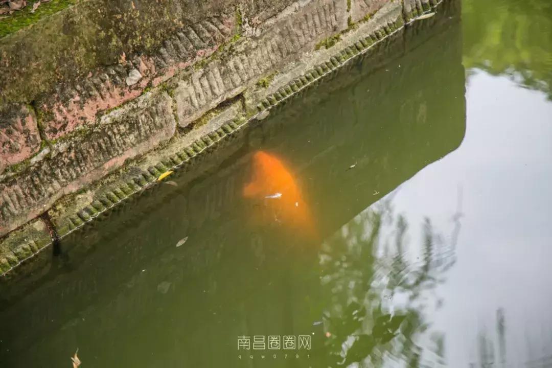 北京西路江西师大,南昌北京西路的师大附中