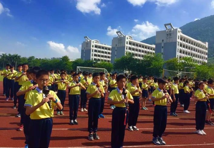 肇庆不限户籍的学校,肇庆不限户籍的中学