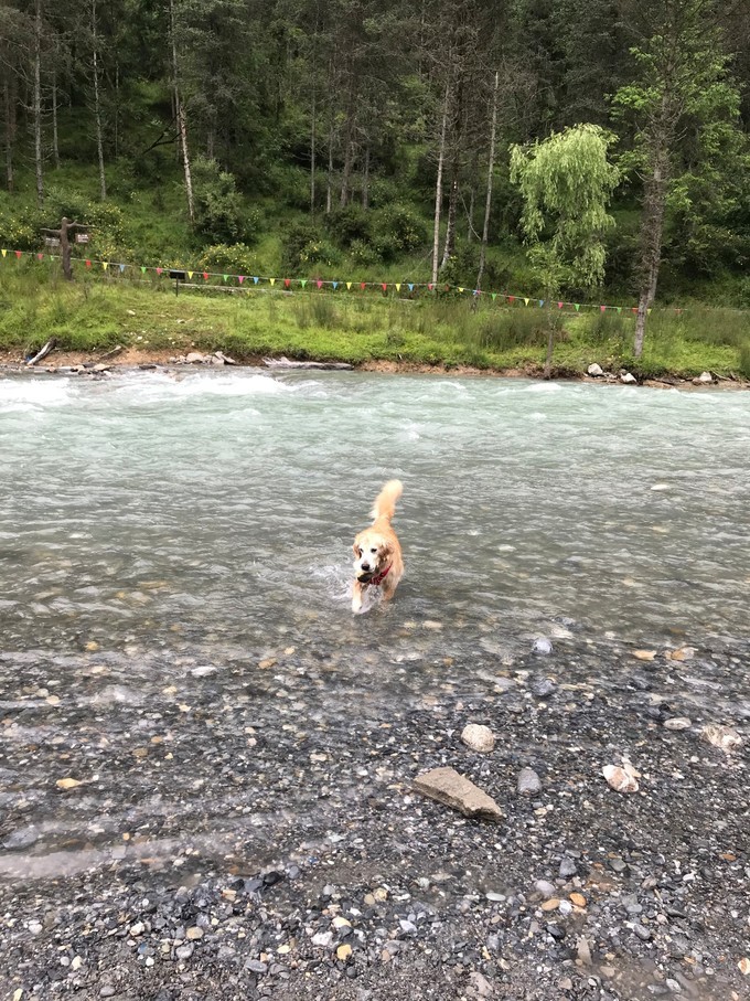 成都喇叭河自驾,自贡到喇叭河自驾