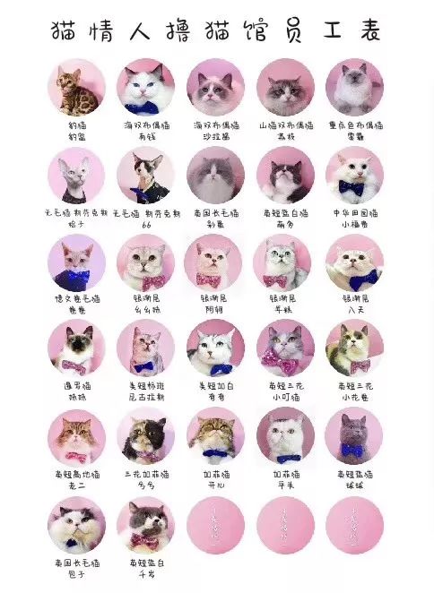 佳乐世纪城好不好耍,佳乐世纪城攻略