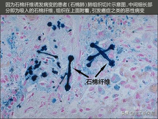 室内保温墙板岩棉好还是泡沫好,隔音岩棉和保温岩棉是一种东西吗