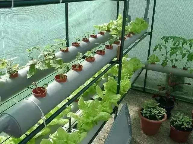 pvc管改造伸缩杆,旧pvc管翻新妙招