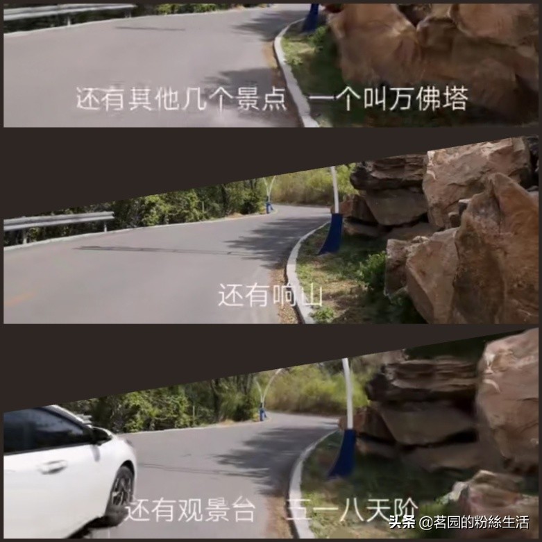 沈阳怪坡虎园,沈阳怪坡