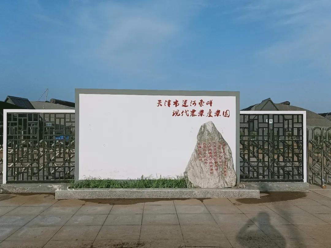 天津武清区下伍旗镇马神庙通背拳,天津市武清区下伍旗镇马神庙村