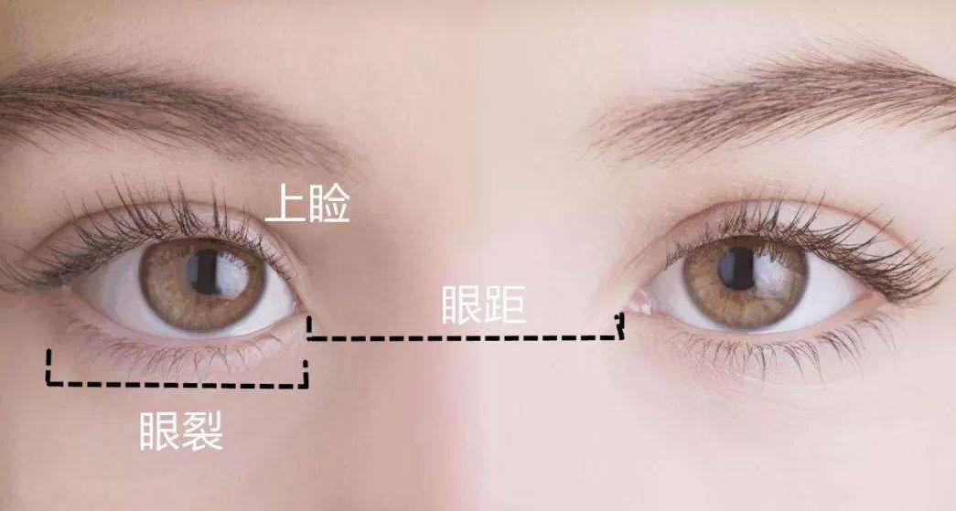 割双眼皮真的有必要吗知乎,割双眼皮是不是非要画眼影才好看