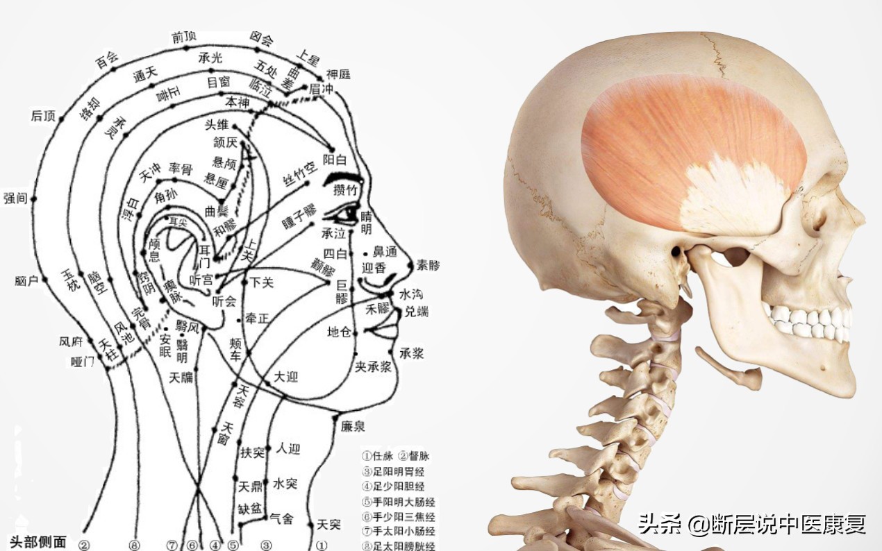 颞部头痛怎么办快速缓解,拉伸颞肌缓解偏头痛