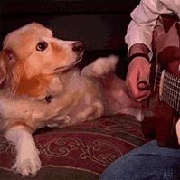 虽然她是在鄙视，不过我突然有了个大胆的想法