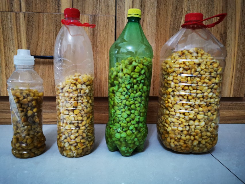 黄田谷水库钓鱼,黄田镇钓鲤鱼视频