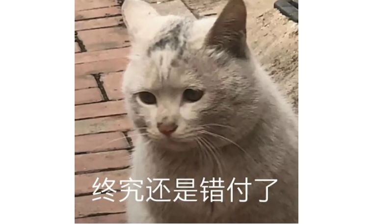 头发怎么洗都很油怎么办 (头发怎么洗都多油怎么办)