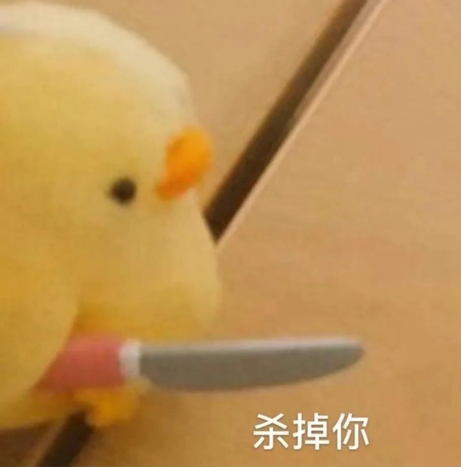 中国猫的雅称,猫生百态包括什么