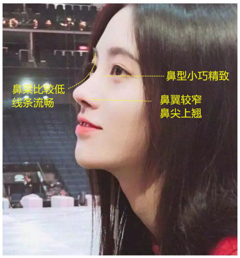 哪四种鼻子最不好看,宽鼻子好看还是窄鼻子好看